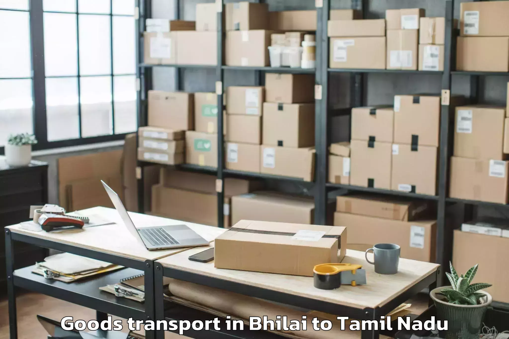 Trusted Bhilai to Paramakudi Goods Transport